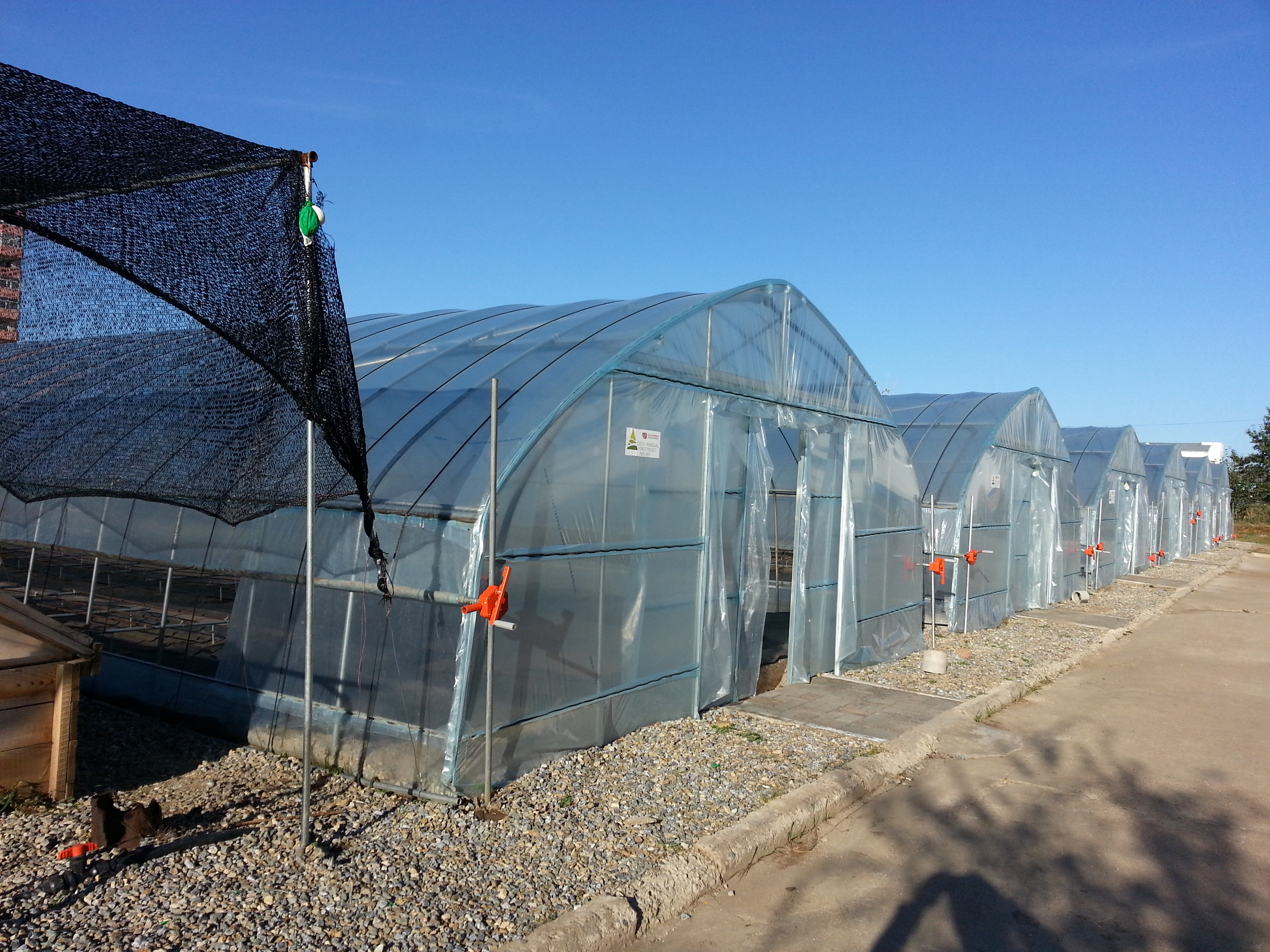 Мод үржүүлгийн газар